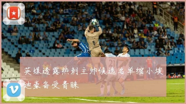 英媒透露热刺主帅候选名单缩小埃迪豪备受青睐