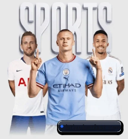 B体育 APP